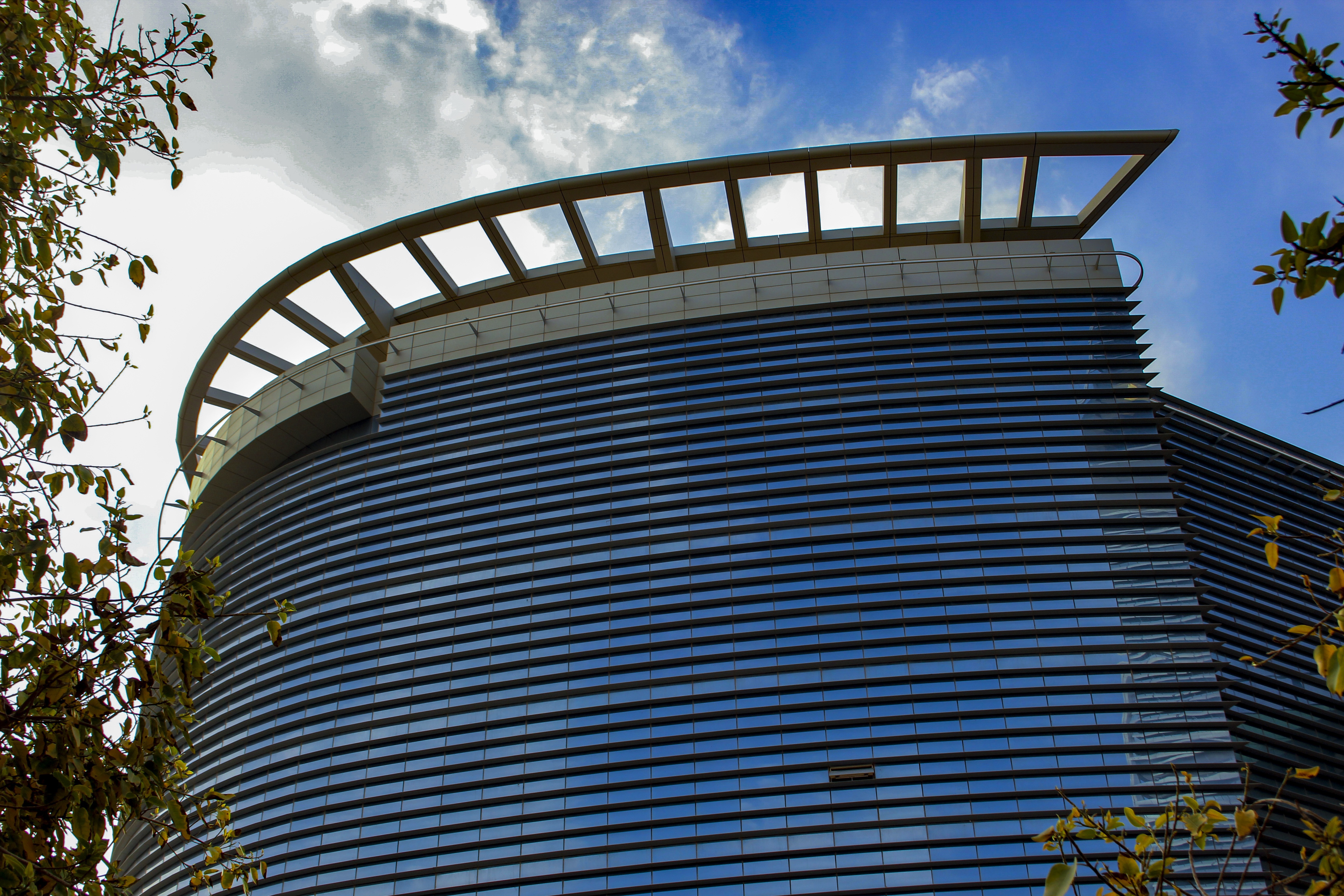 ¿Pueden los requisitos de entidad arrendaticia cumplirse a nivel de grupo?